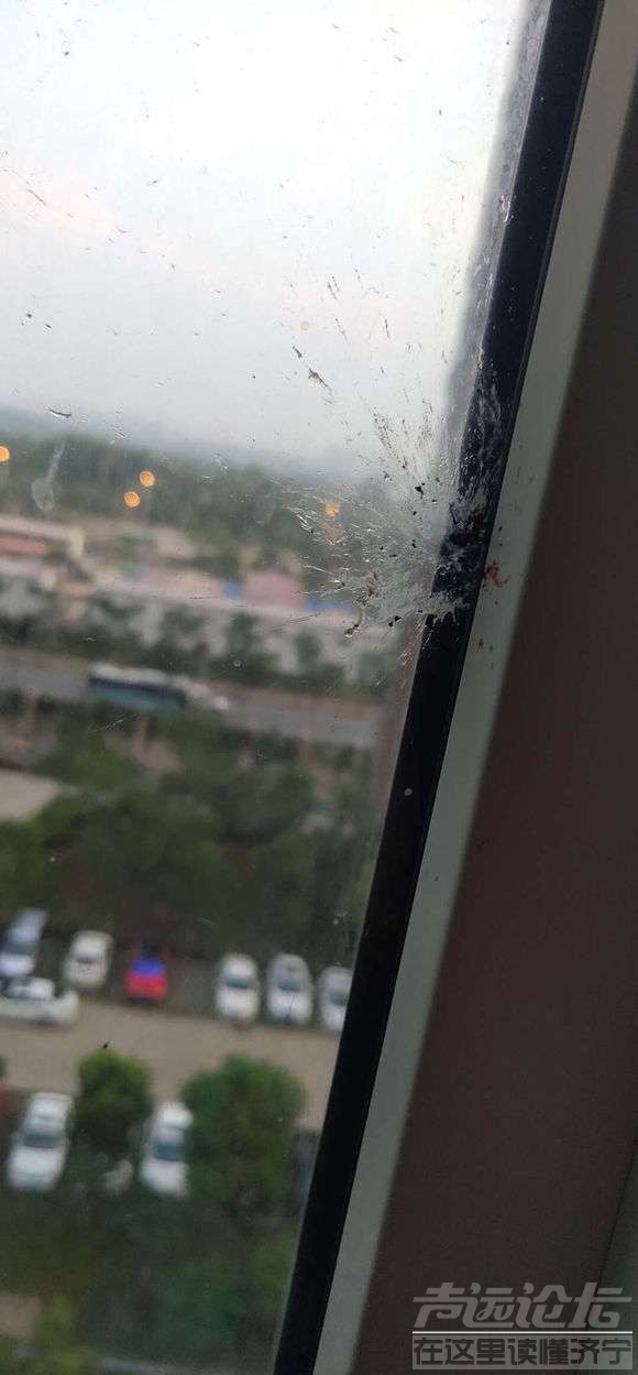 20190802_35902_1564722673982.jpg