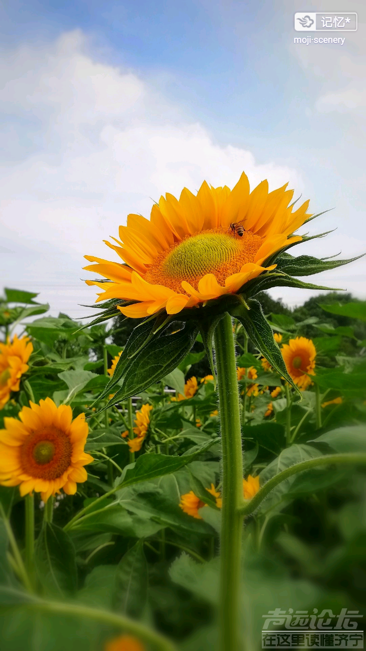 20190802_564876_1564726769164.png
