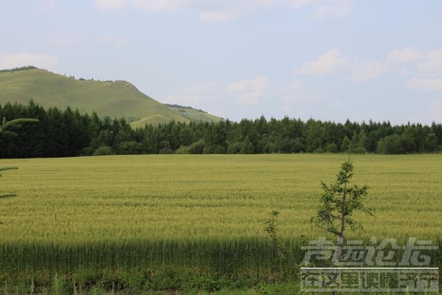 阿尔山到呼伦贝尔 每日更新，呼伦贝尔自驾游记第四天，游玩阿尔山-9.jpg