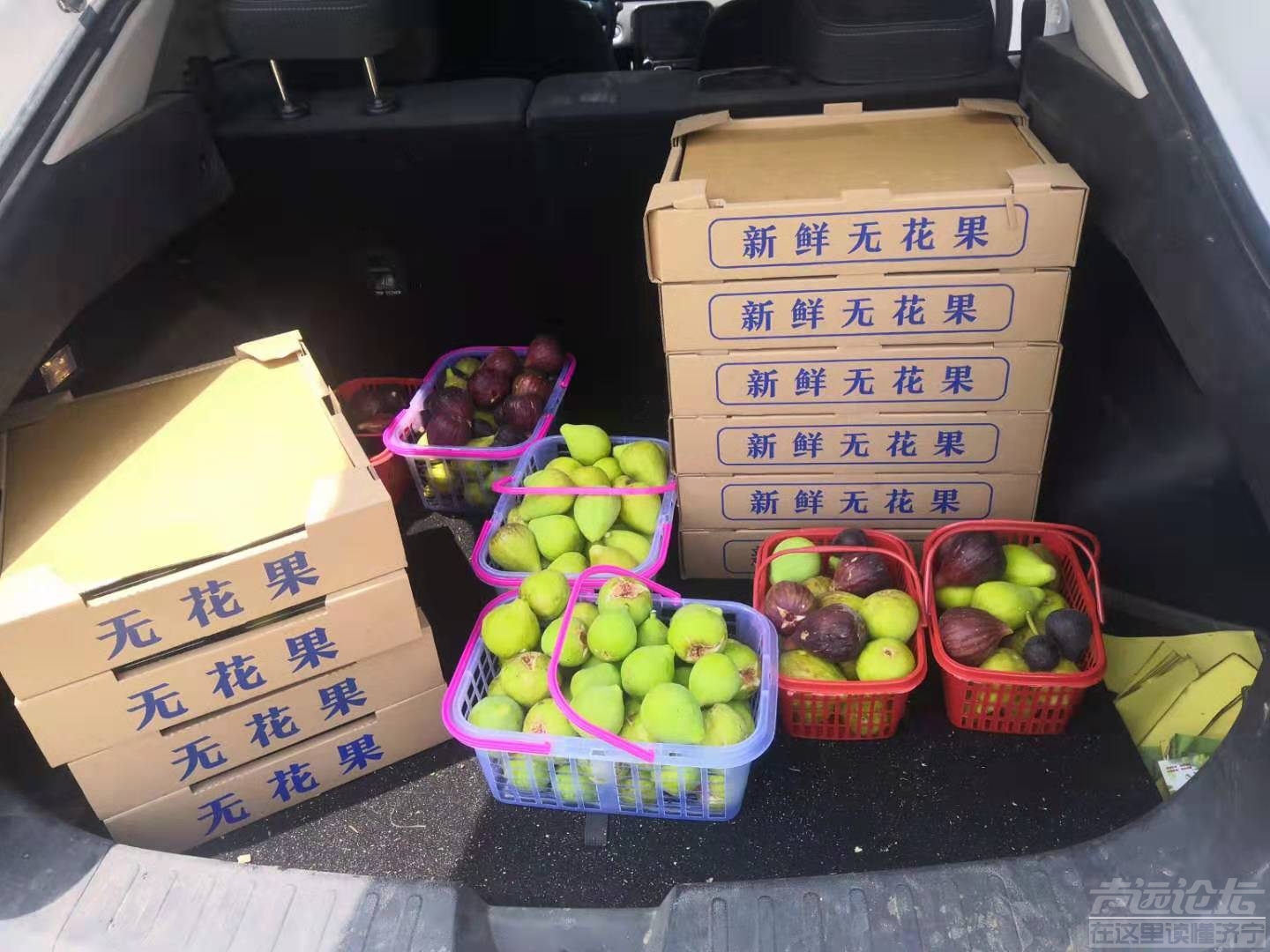 微信图片_20190807094831.jpg