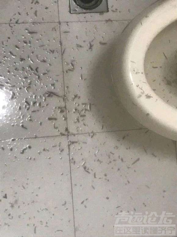 20190807_35902_1565183725463.jpg