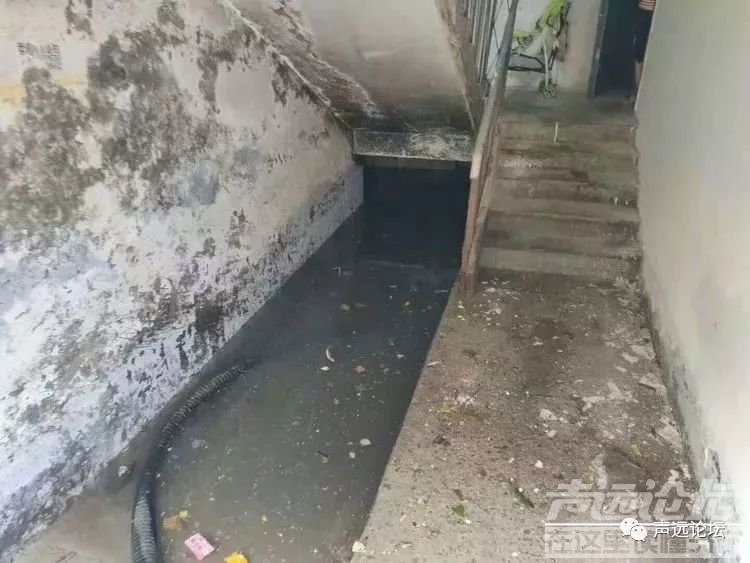 声远头条｜济宁又火了一把？/G104书院泗河大桥改建/-10.jpg