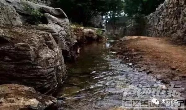 声远头条｜济宁又火了一把？/G104书院泗河大桥改建/-17.jpg
