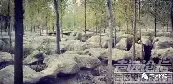 声远头条｜济宁又火了一把？/G104书院泗河大桥改建/-15.jpg