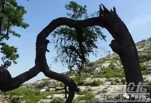 声远头条｜济宁又火了一把？/G104书院泗河大桥改建/-23.jpg