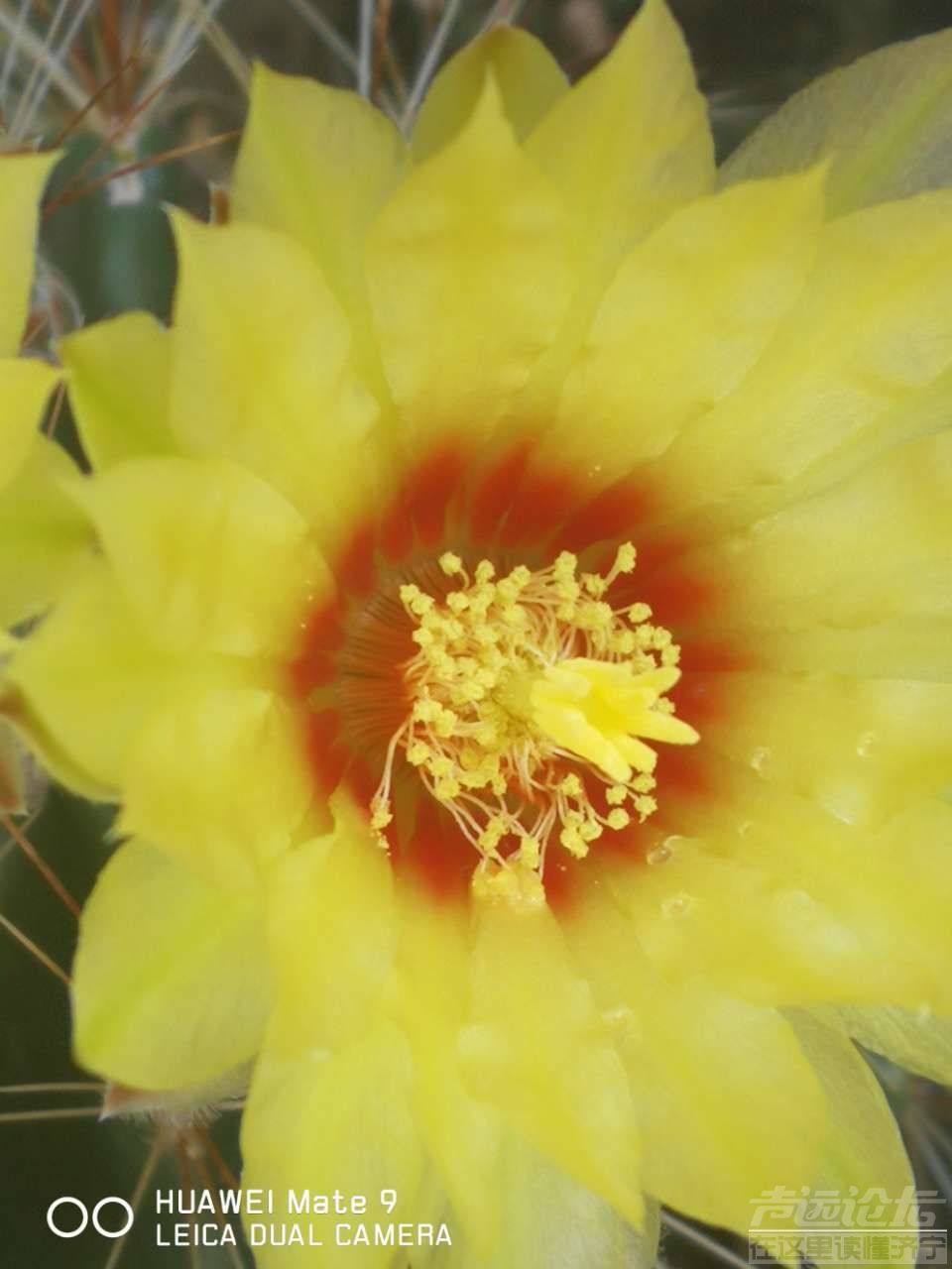 20190810_564876_1565415463292.jpg