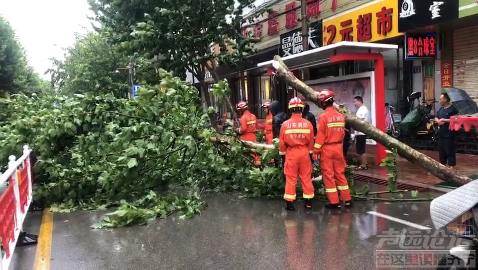 超强台风“利奇马”来势汹汹 大树接连倒塌道路被堵塞-1.jpeg