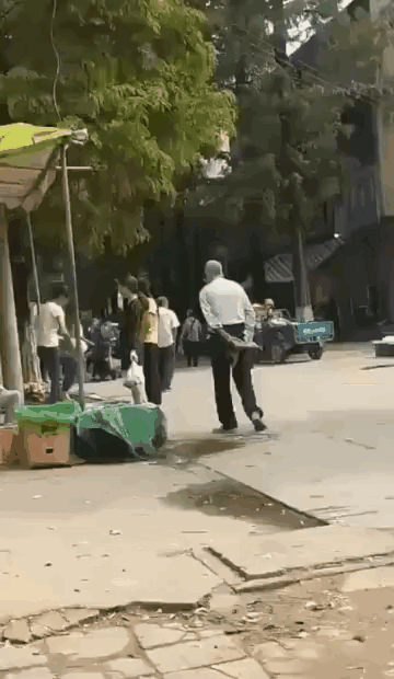 20190813_35902_1565675478696.gif