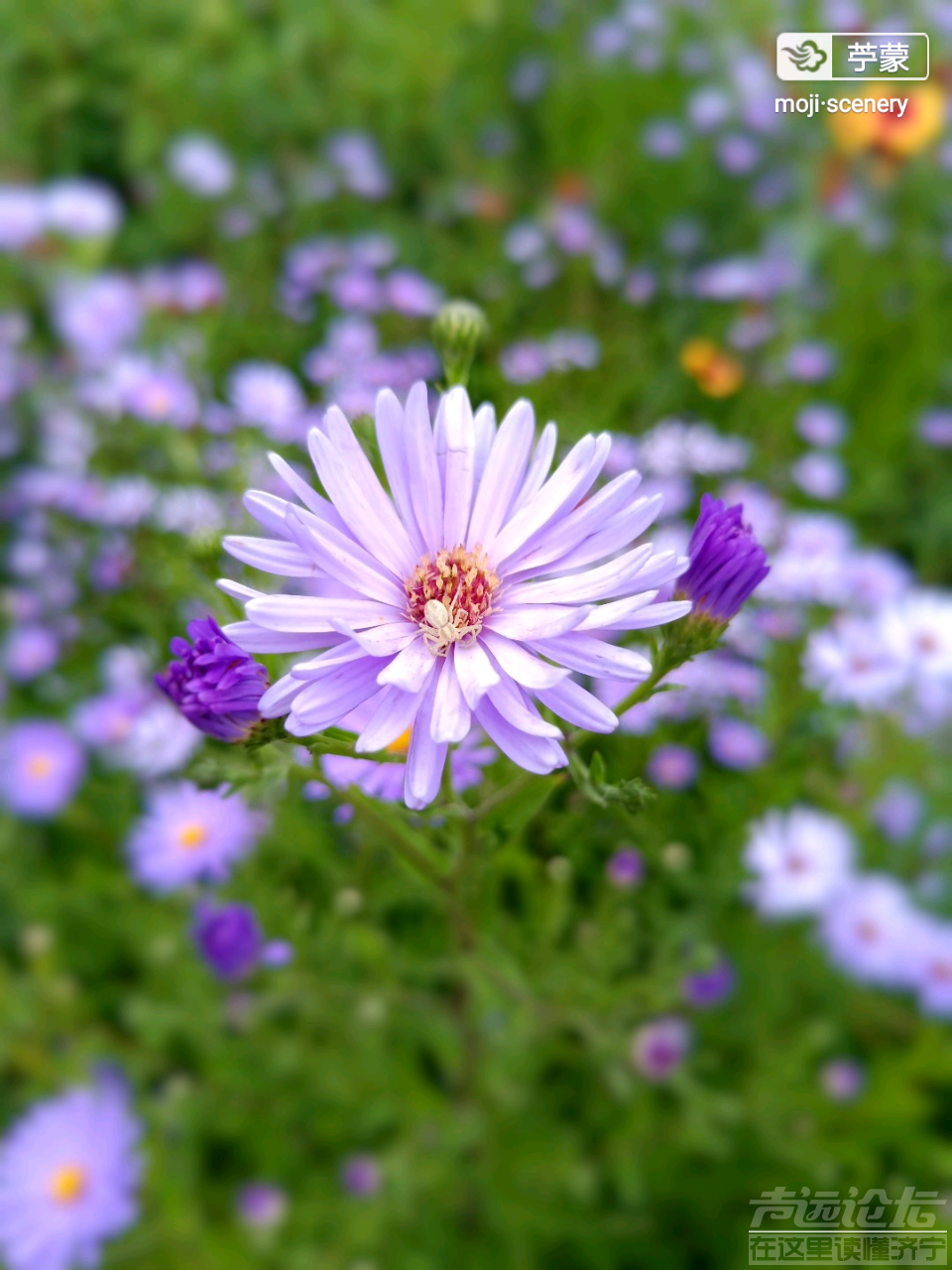 20190813_564876_1565694578613.png