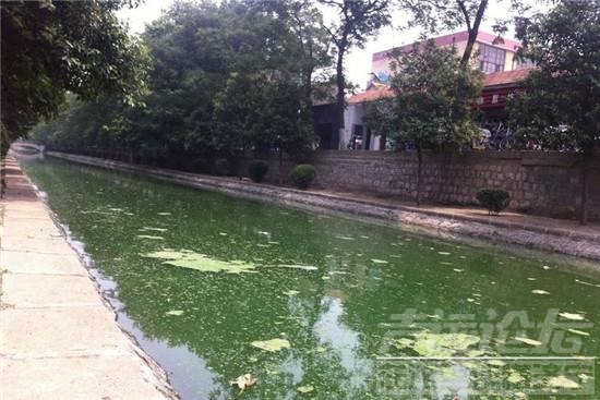 济宁老城区的臭水河都该抽干改造加宽了  不然对不起"江北小苏州"的称号-13.jpg