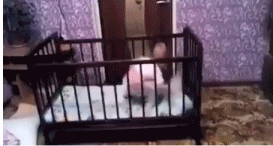 20190816_532335_1565944653010.gif