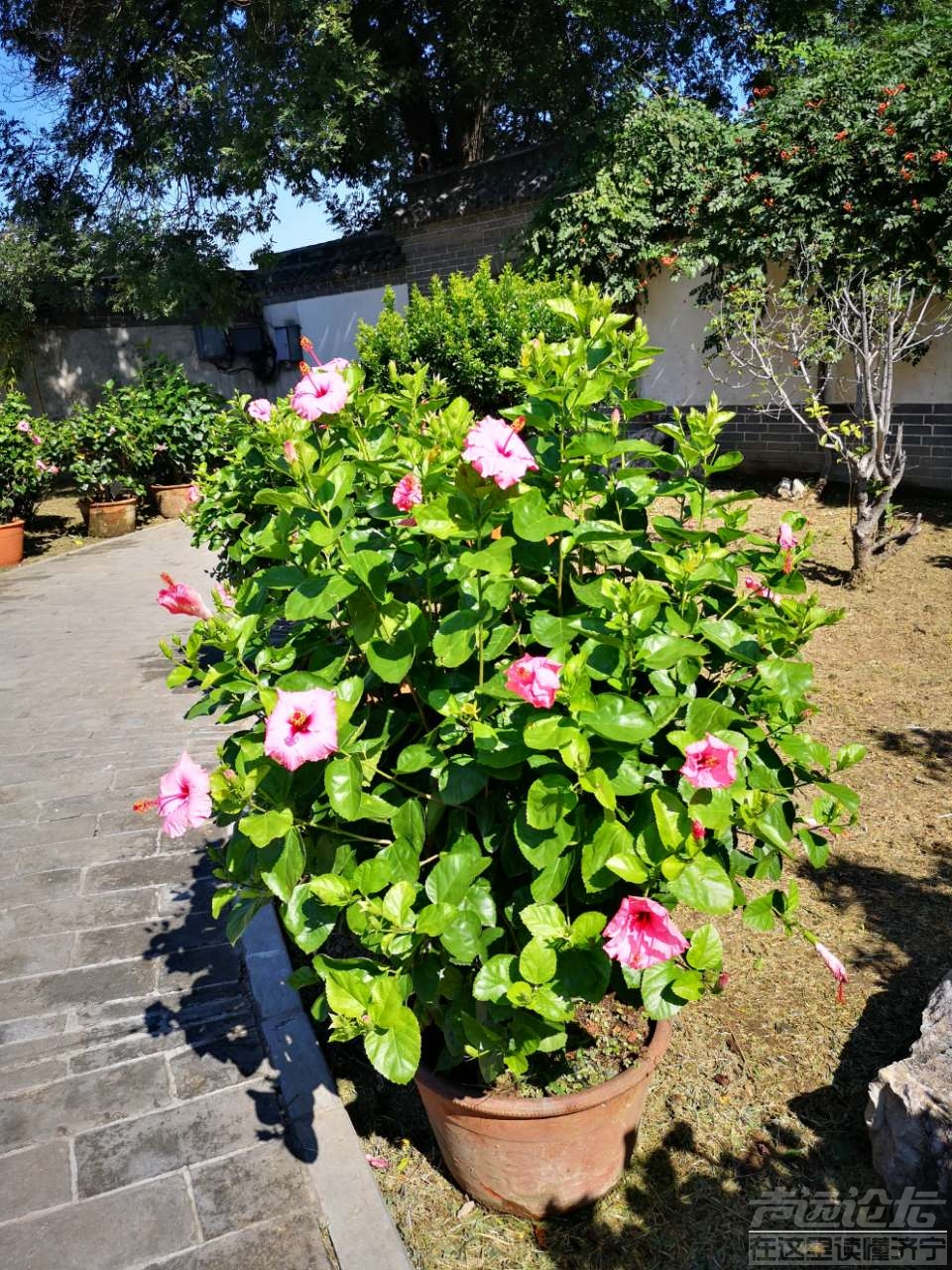 20190818_335734_1566127841776.jpg