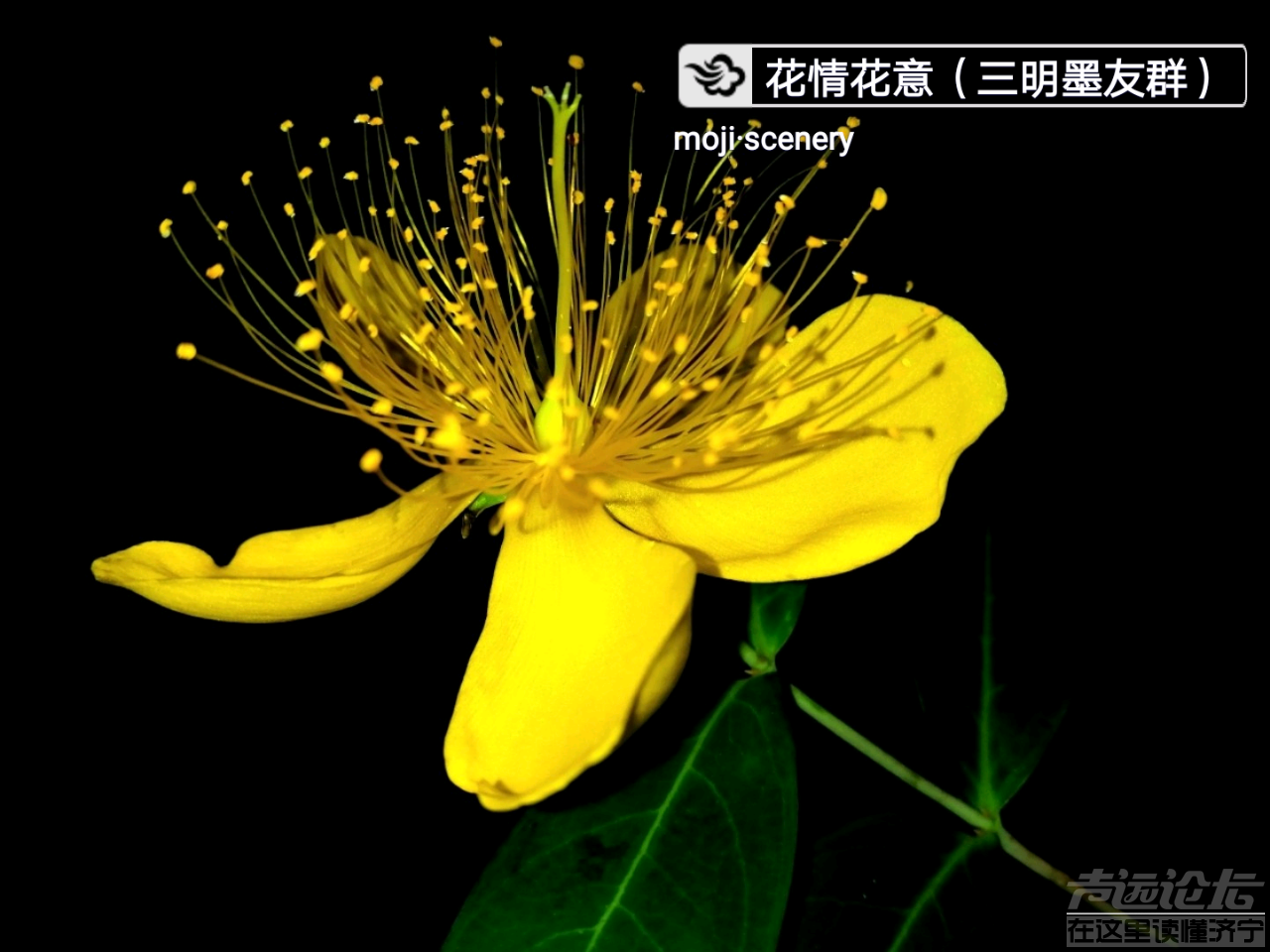 20190818_564876_1566130680179.png