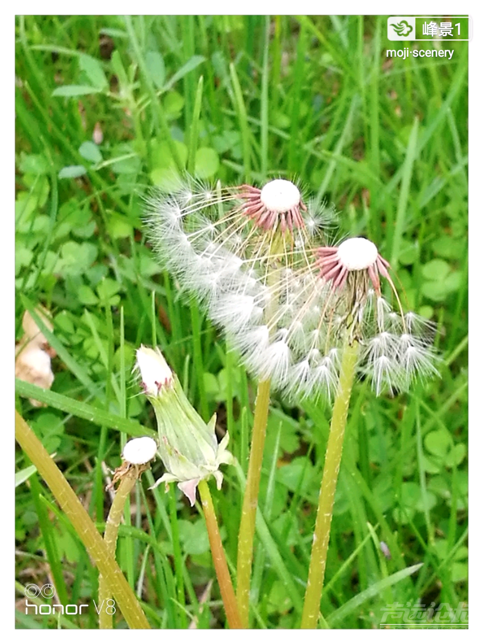 20190819_564876_1566180882288.png