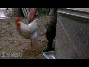 20190820_93467_1566261693905.gif