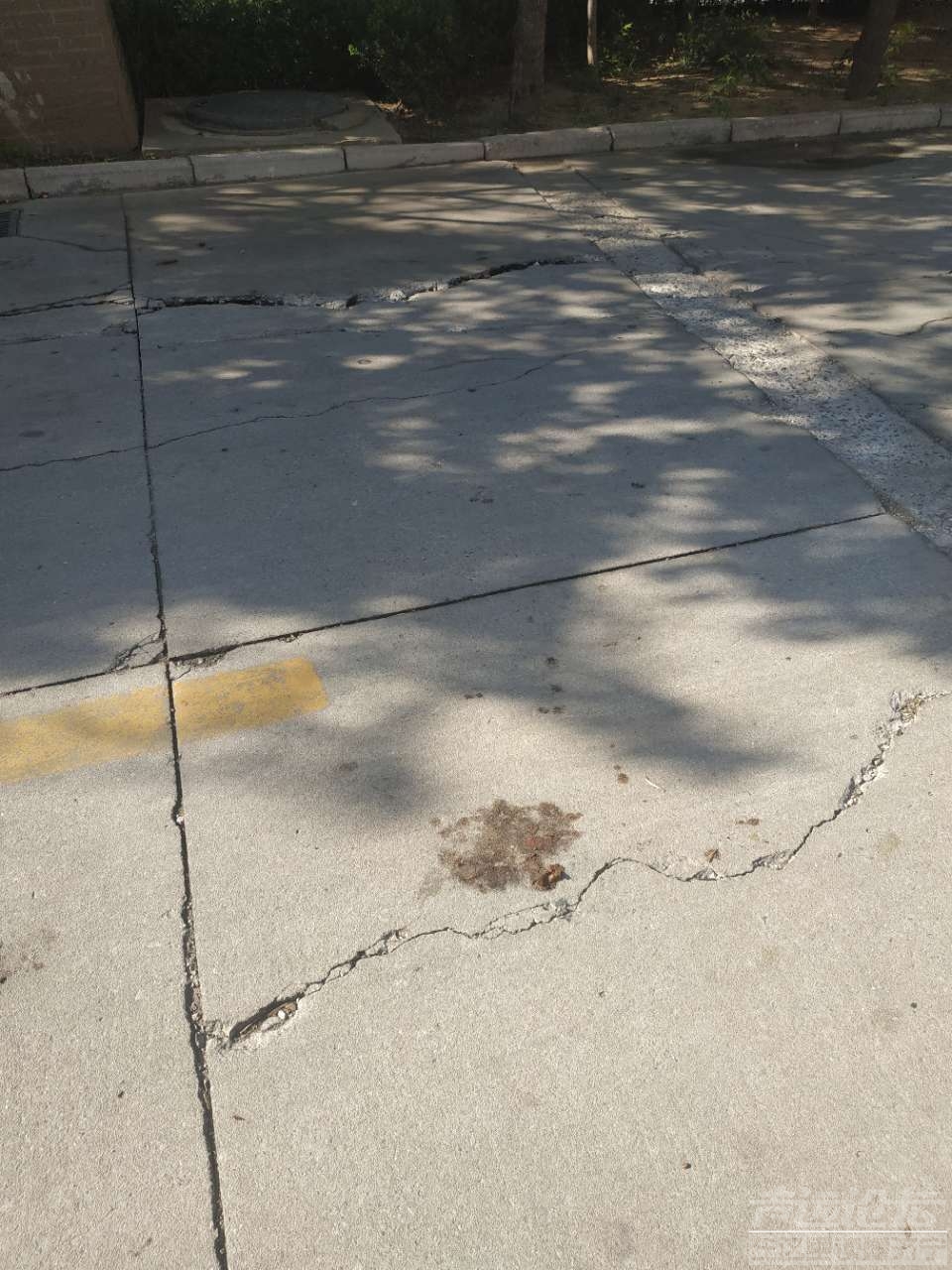20190820_588503_1566277546630.jpg