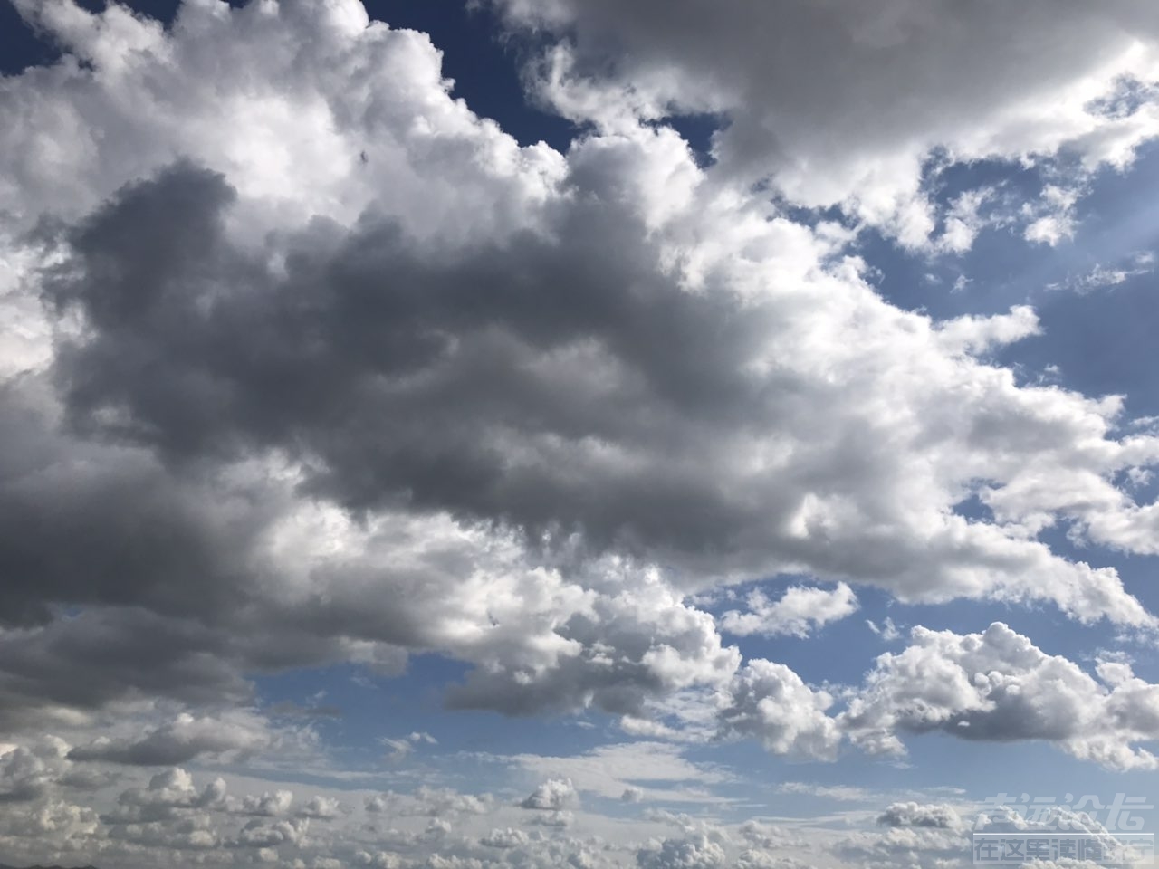 201908264950711566806486927989.jpg