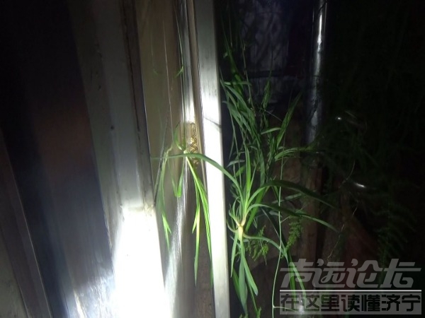 居民家中闯进“不速之客” 济宁消防徒手将其制服-2.jpeg