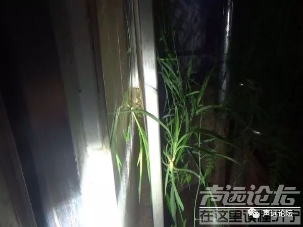 声远头条｜济宁鸿广河项目新进展/网曝：济宁大运河有2人溺水/济宁城区中考成绩分析-13.jpg