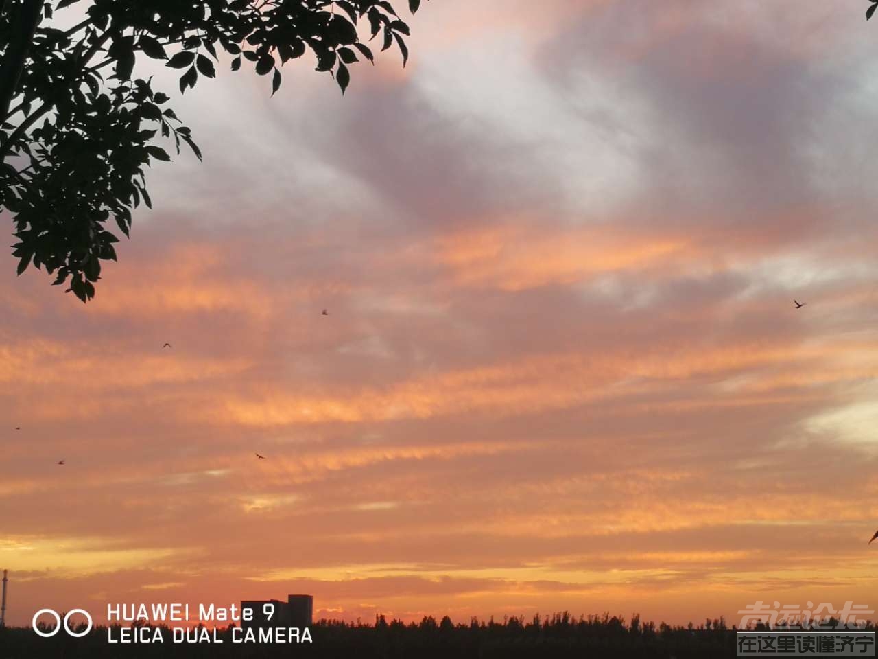 20190830_564876_1567149581115.jpg