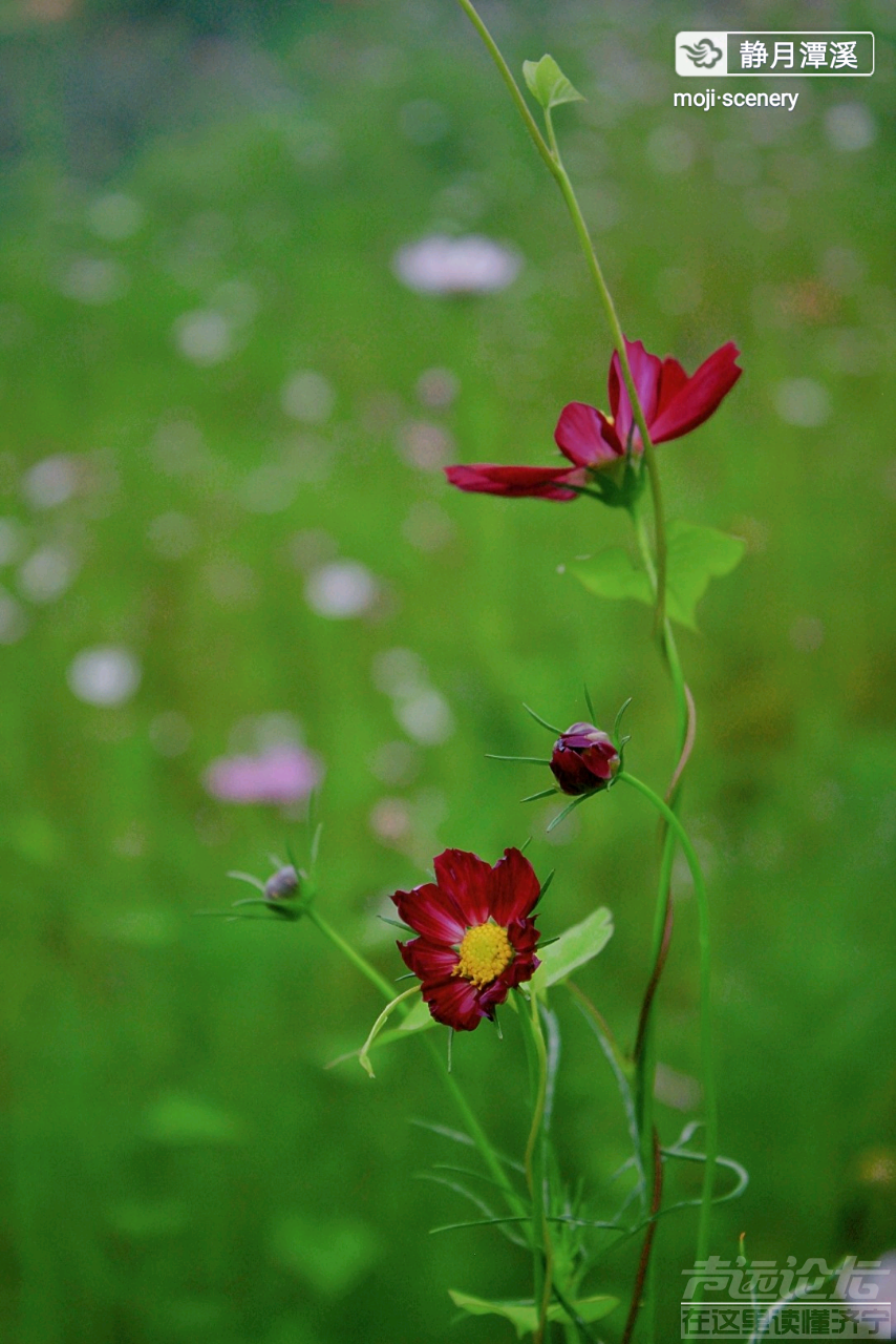 20190901_564876_1567315937638.png
