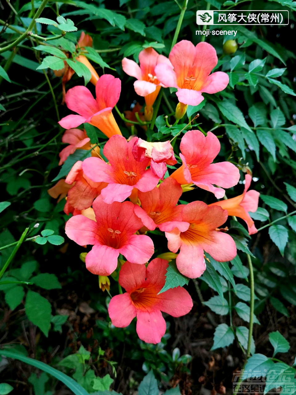 20190902_564876_1567402726310.png