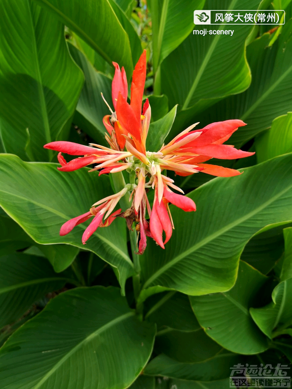 20190902_564876_1567402737276.png
