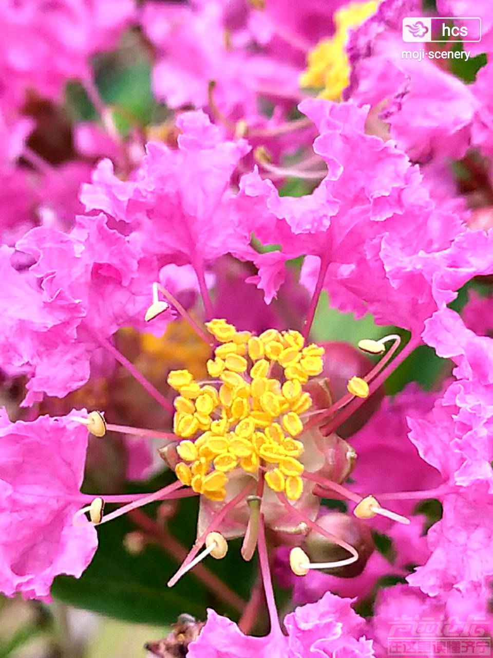 20190902_564876_1567402774022.png