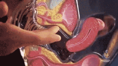 20190905124751567642387783932.gif