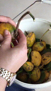 20190906_35902_1567737992234.gif