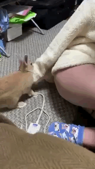 20190908_93467_1567925628395.gif