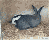 20190908_93467_1567925628396.gif