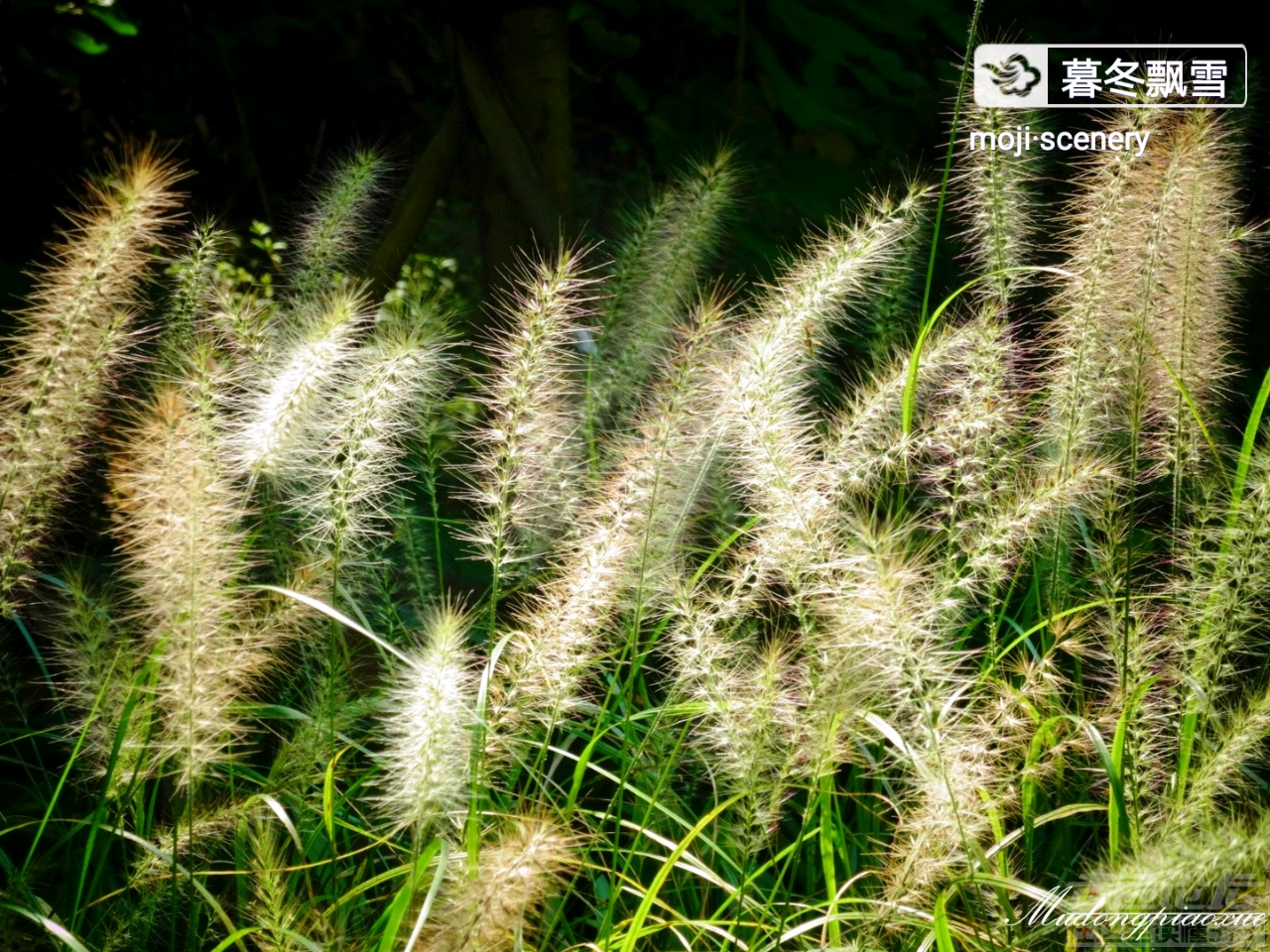 20190910_564876_1568097910155.png