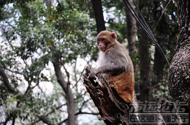 小长假旅游 成都出发，中秋节3天小长假去哪儿？自驾游享受海上月色-8.jpg