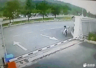 20190911_35902_1568132164432.gif