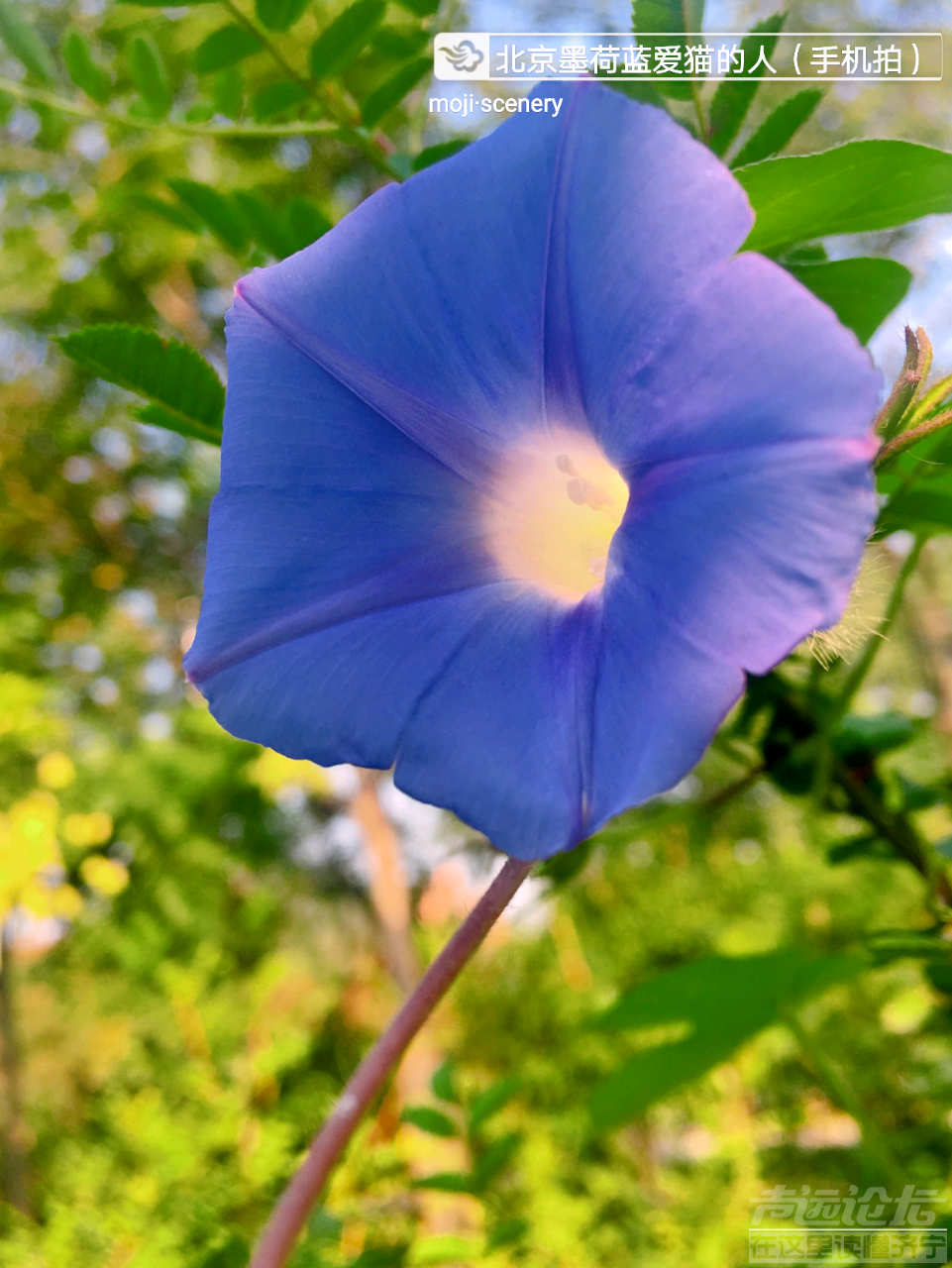 20190911_564876_1568164359033.png