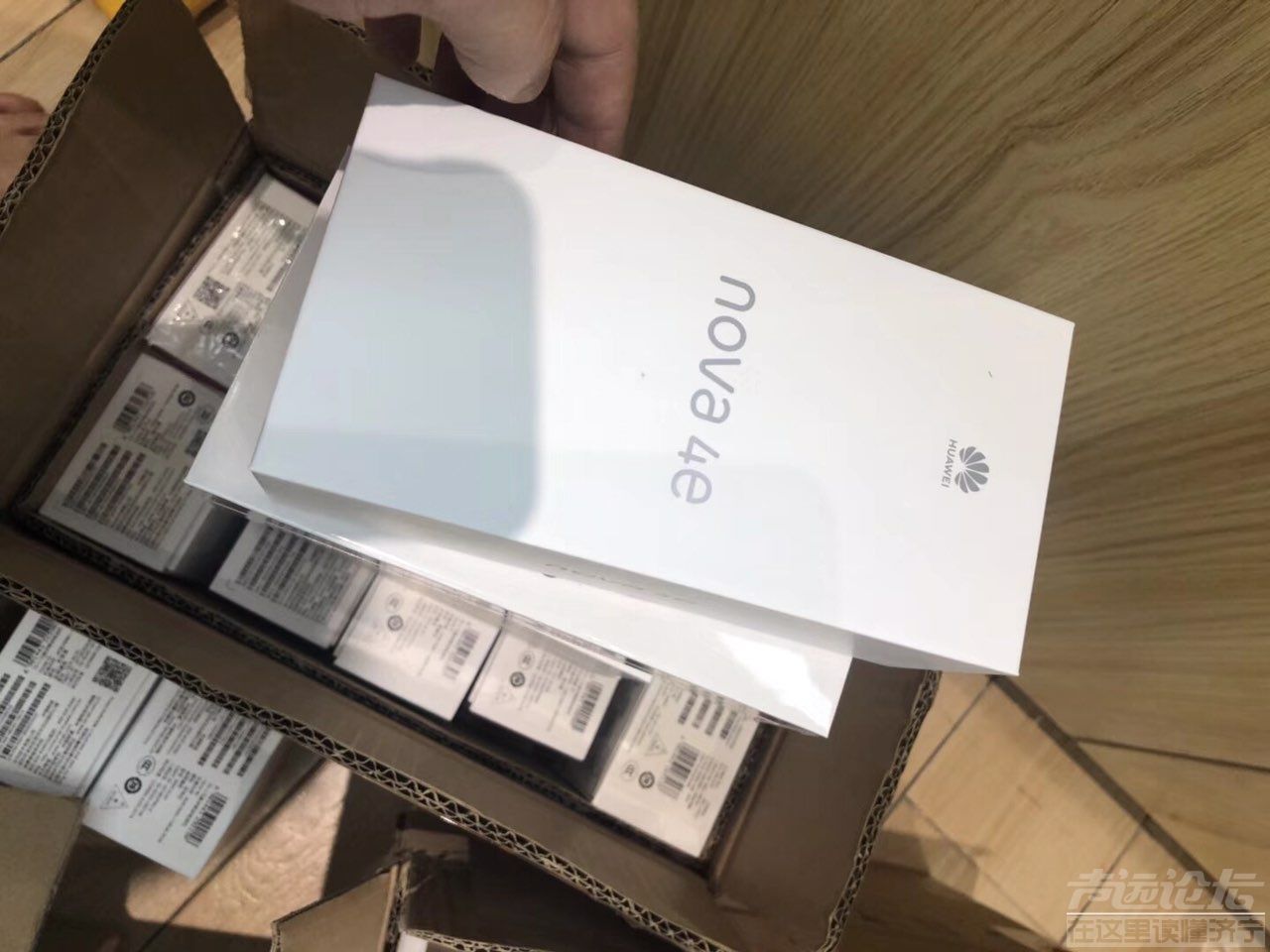 201909114359156820141758023.jpg
