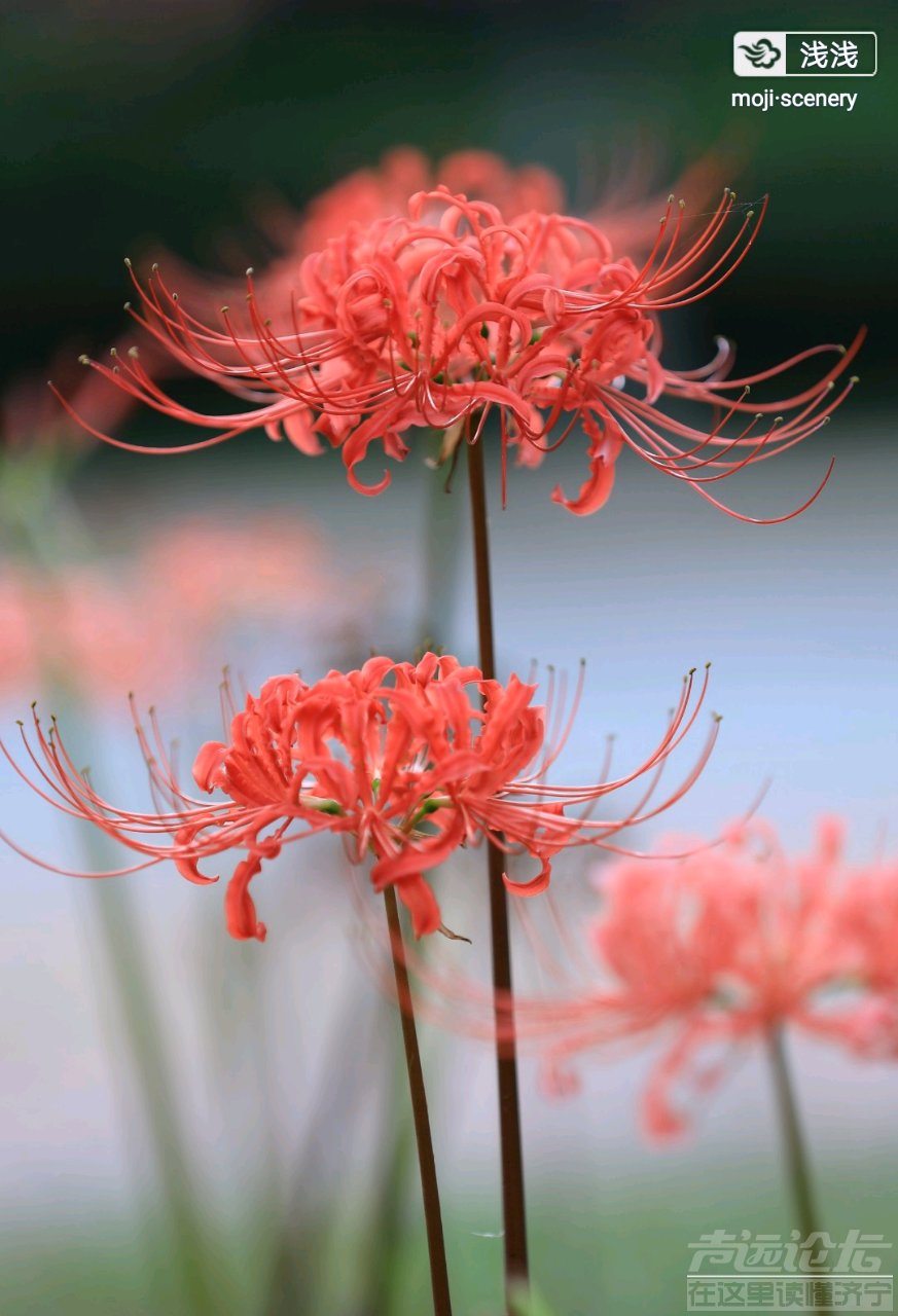 20190916_564876_1568594568693.png