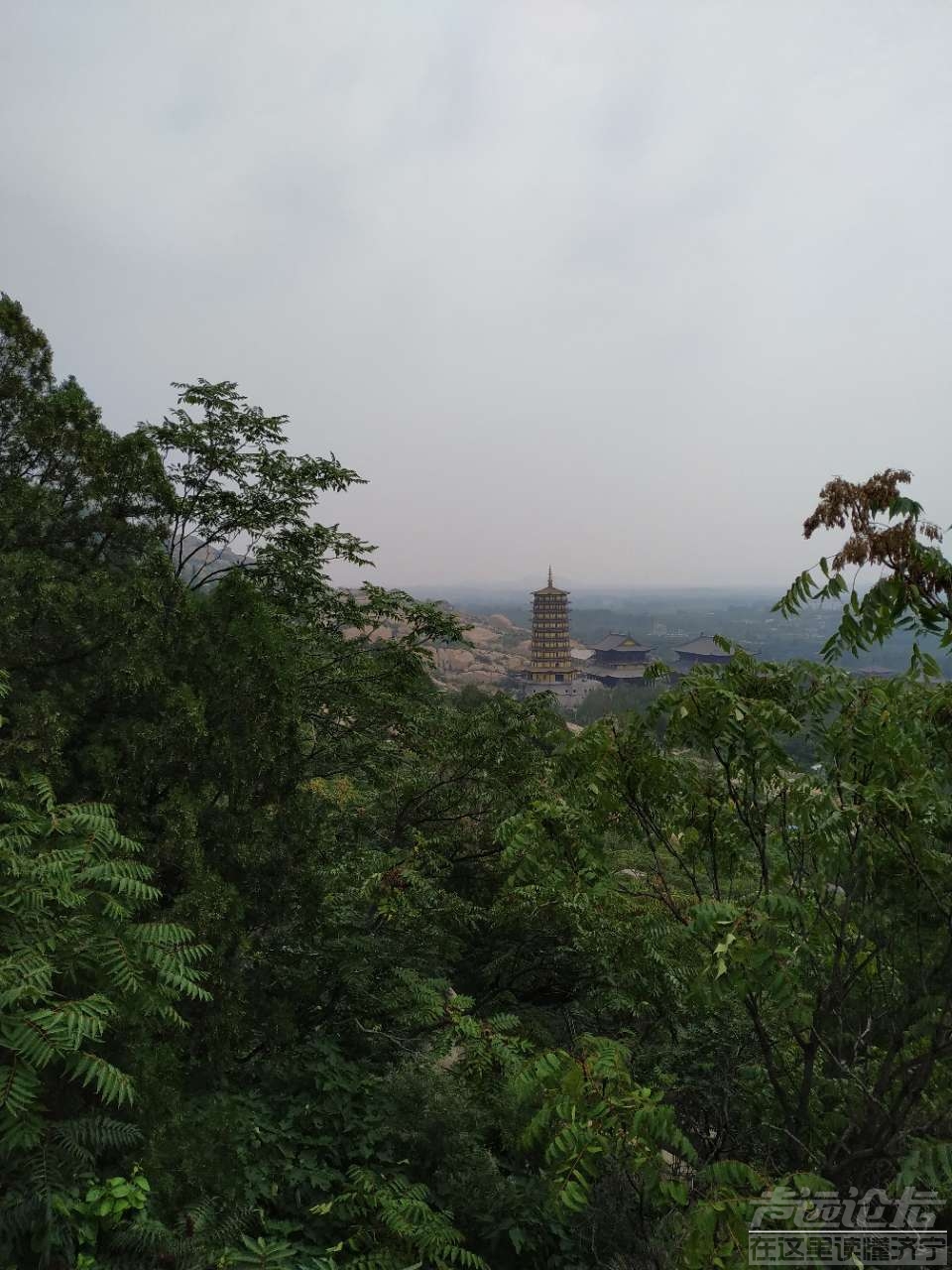 20190916_86650_1568647160498.jpg