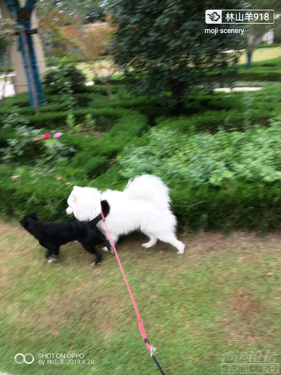 20190918_564876_1568799849135.png