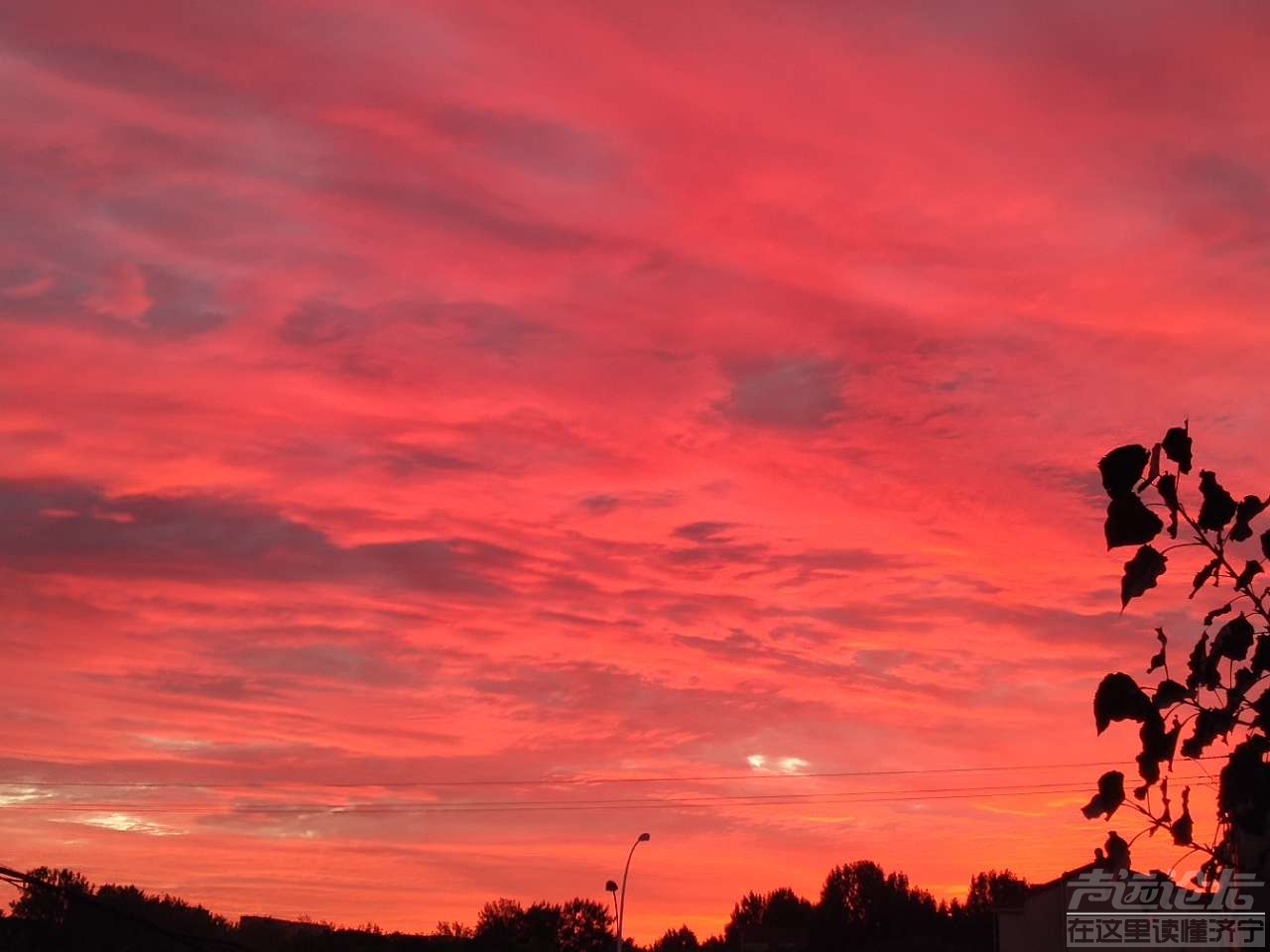 20190919_289446_1568845369632.jpg