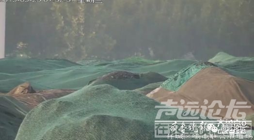 声远头条｜ 济宁这些学校查出大问题了/速度扩散！济宁开通旅游专线-19.jpg