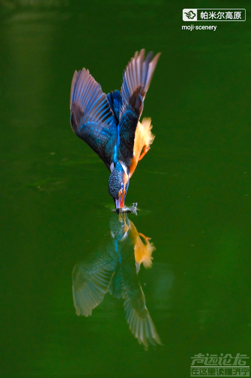 20190928_564876_1569637669530.png