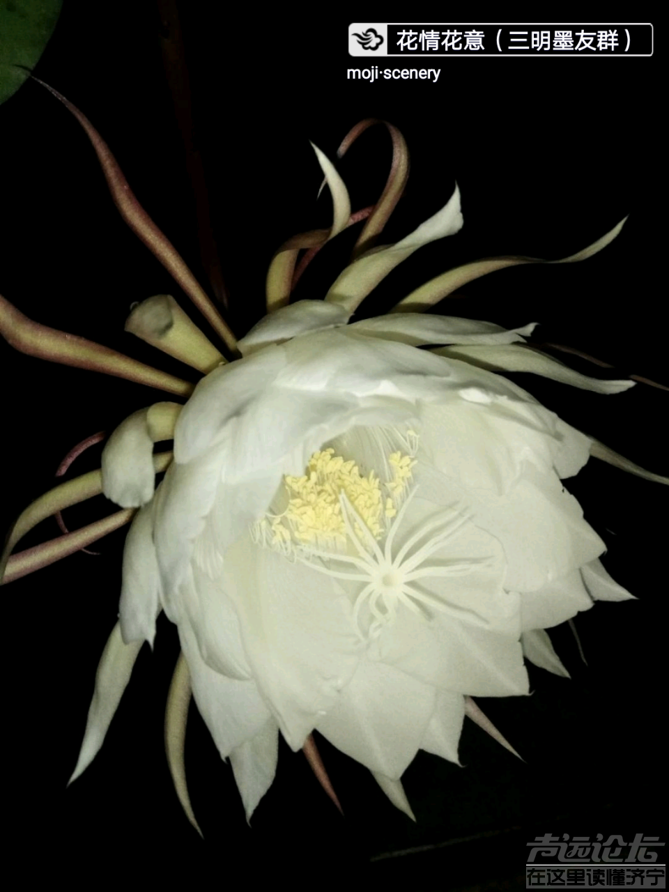 20190929_564876_1569718294716.png