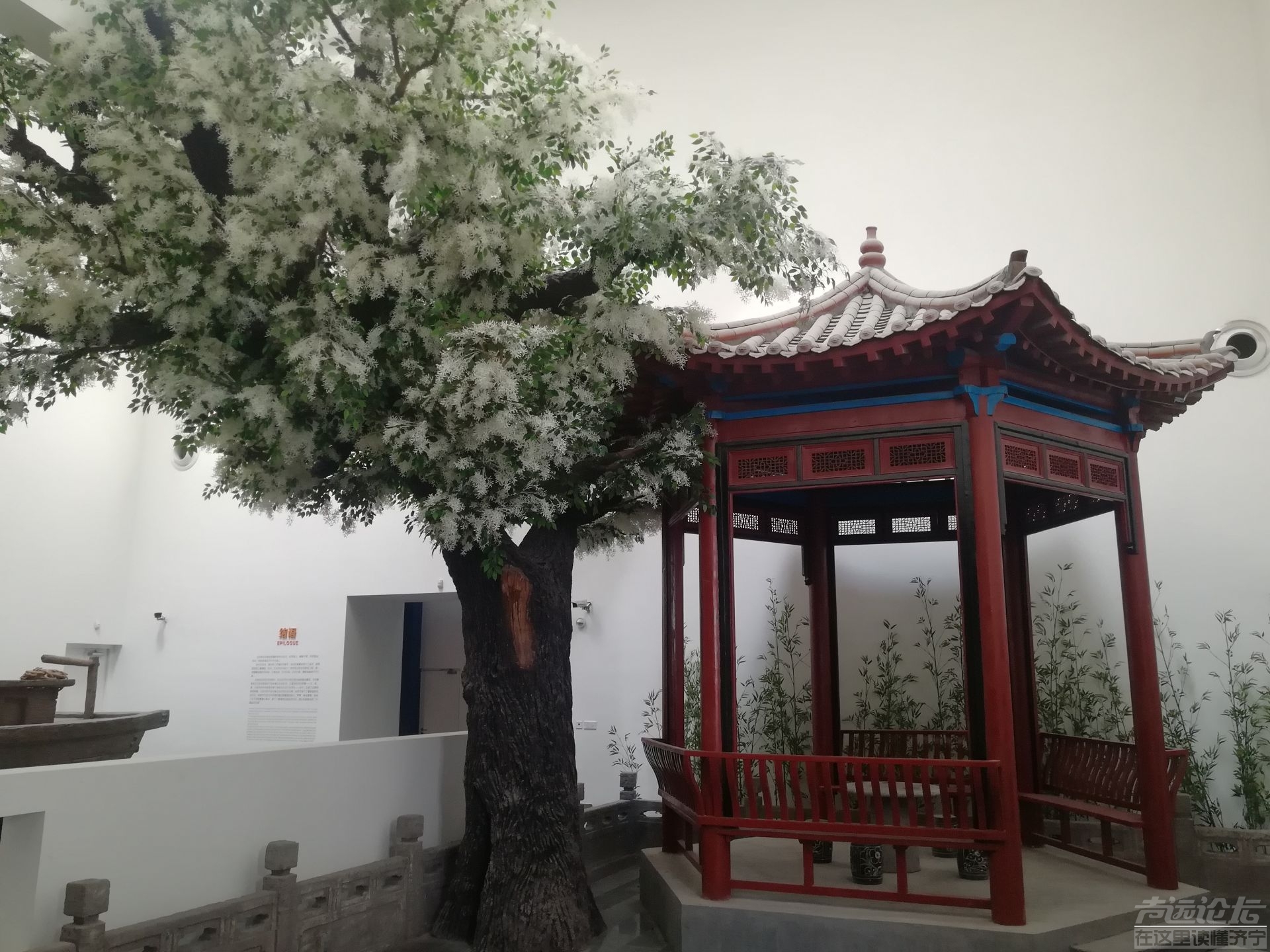 去看吗？济宁市博物馆新馆今日开馆 高清大图曝光-12.jpeg