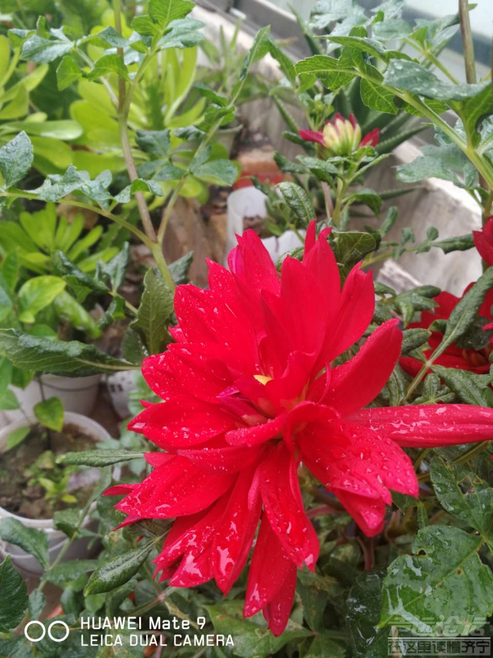 20191008_564876_1570504692140.jpg