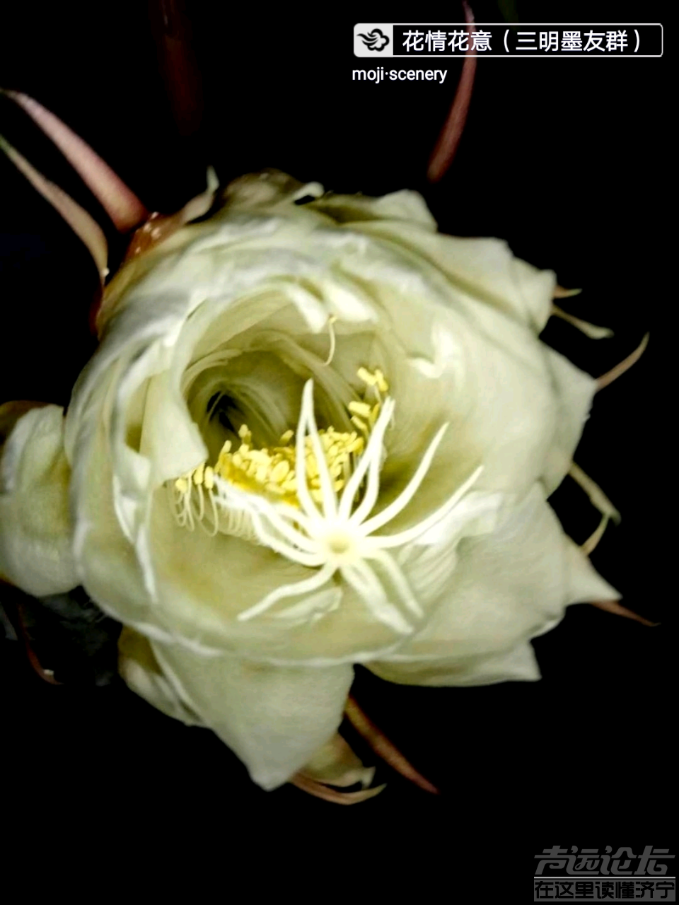 20191009_564876_1570596190663.png