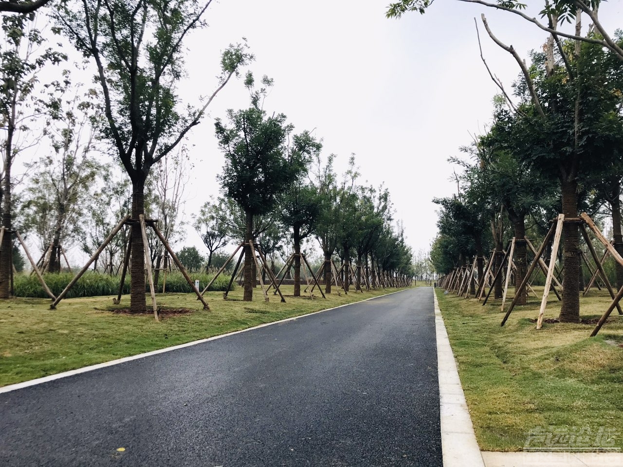 雨后植物公园-2.jpg