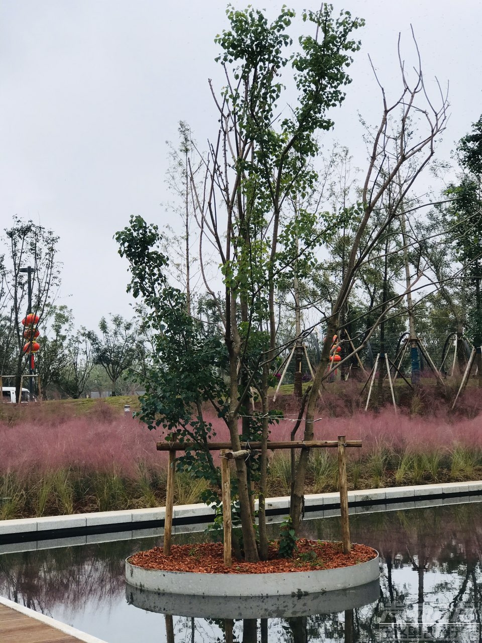 雨后植物公园-5.jpg