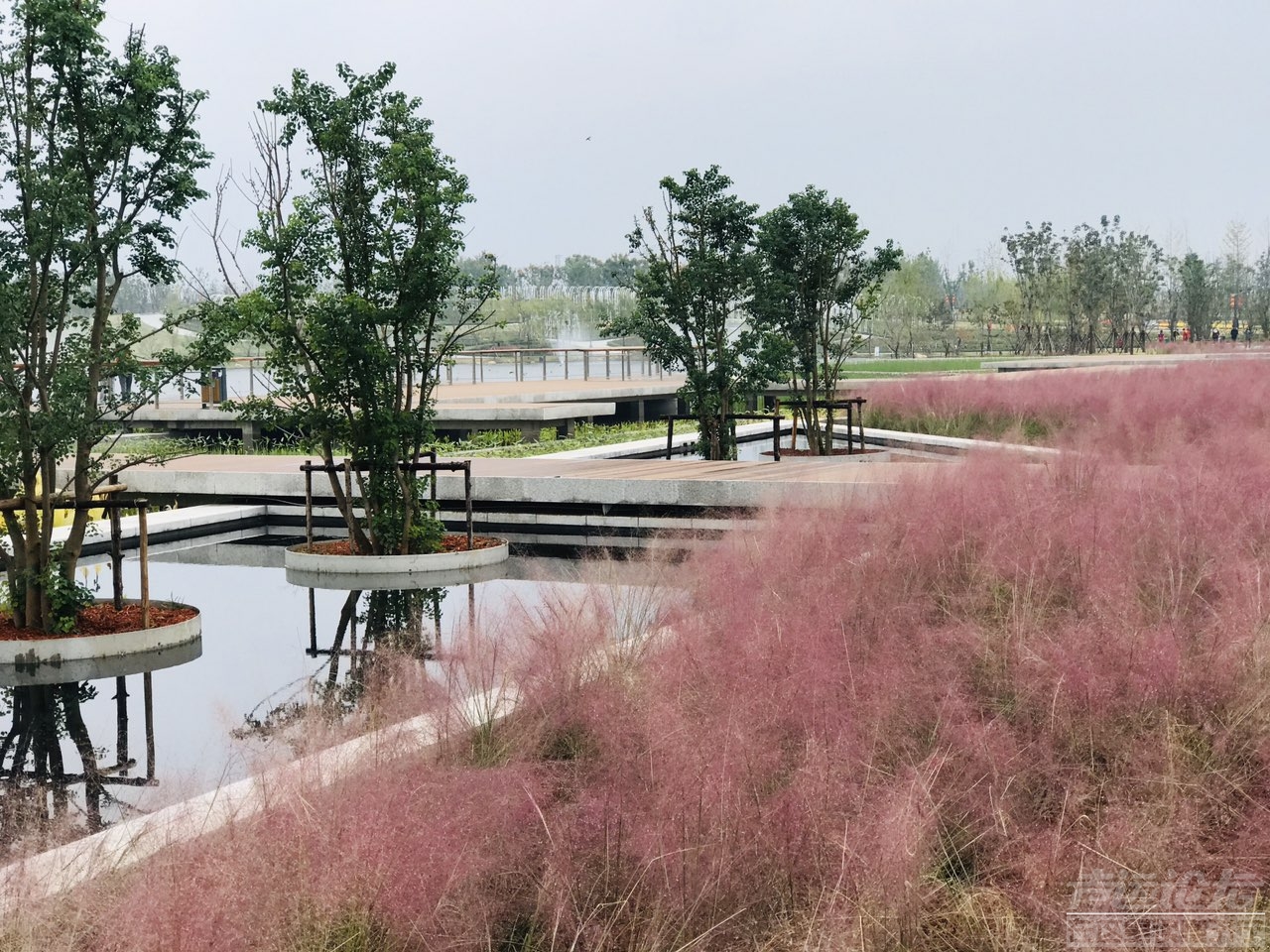 雨后植物公园-4.jpg